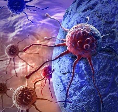 Antiviral & Anti-Infective APIs